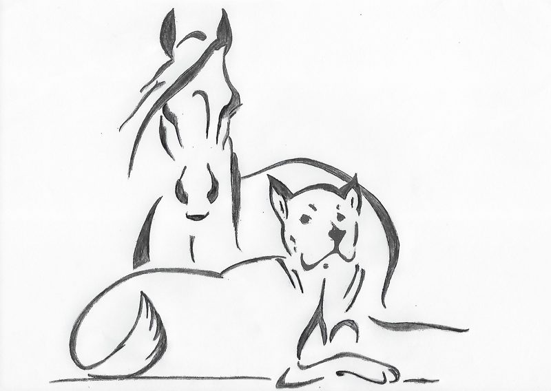 Zeichnungen von Pferd und Hund