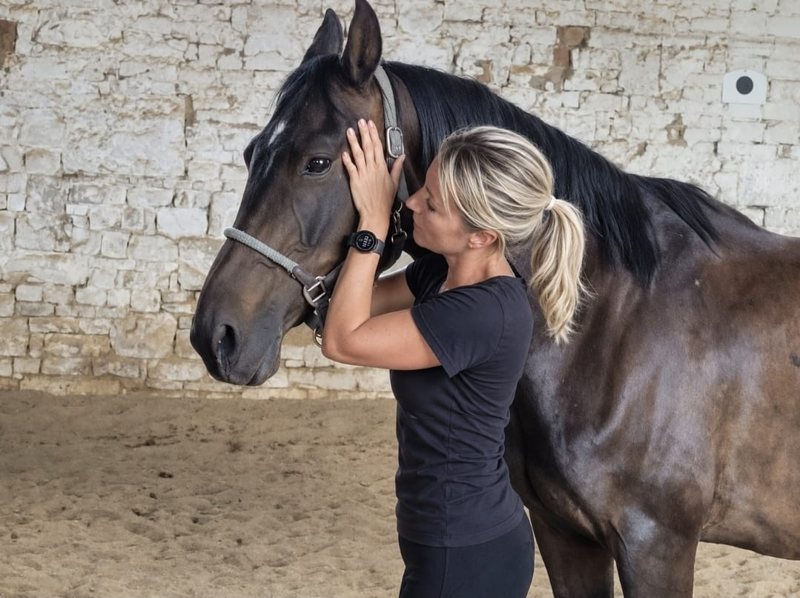 Pferdeosteopathie: Therapeutin untersucht den Kopf eines Pferdes in der Reithalle des MyPetsdoc Therapiezentrums Lützen